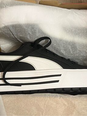 NWT platform PUMA